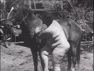 Jenna Haze genageld door de zoon van haar vriend gratis pornofilmen